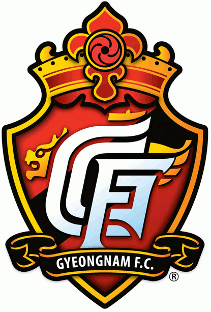 Gyeongnam FC 2010-Pres Primary Logo t shirt iron on transfers
